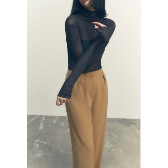 Zara full length darted pants - Picture 5 of 9